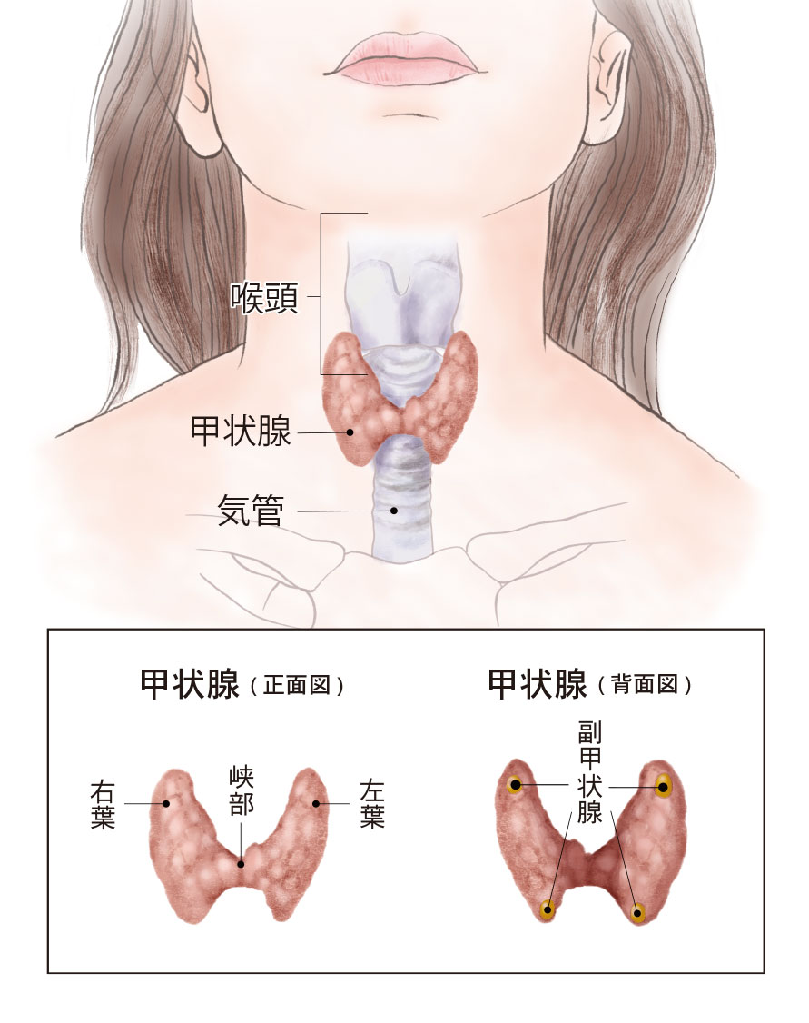 手術アプローチ